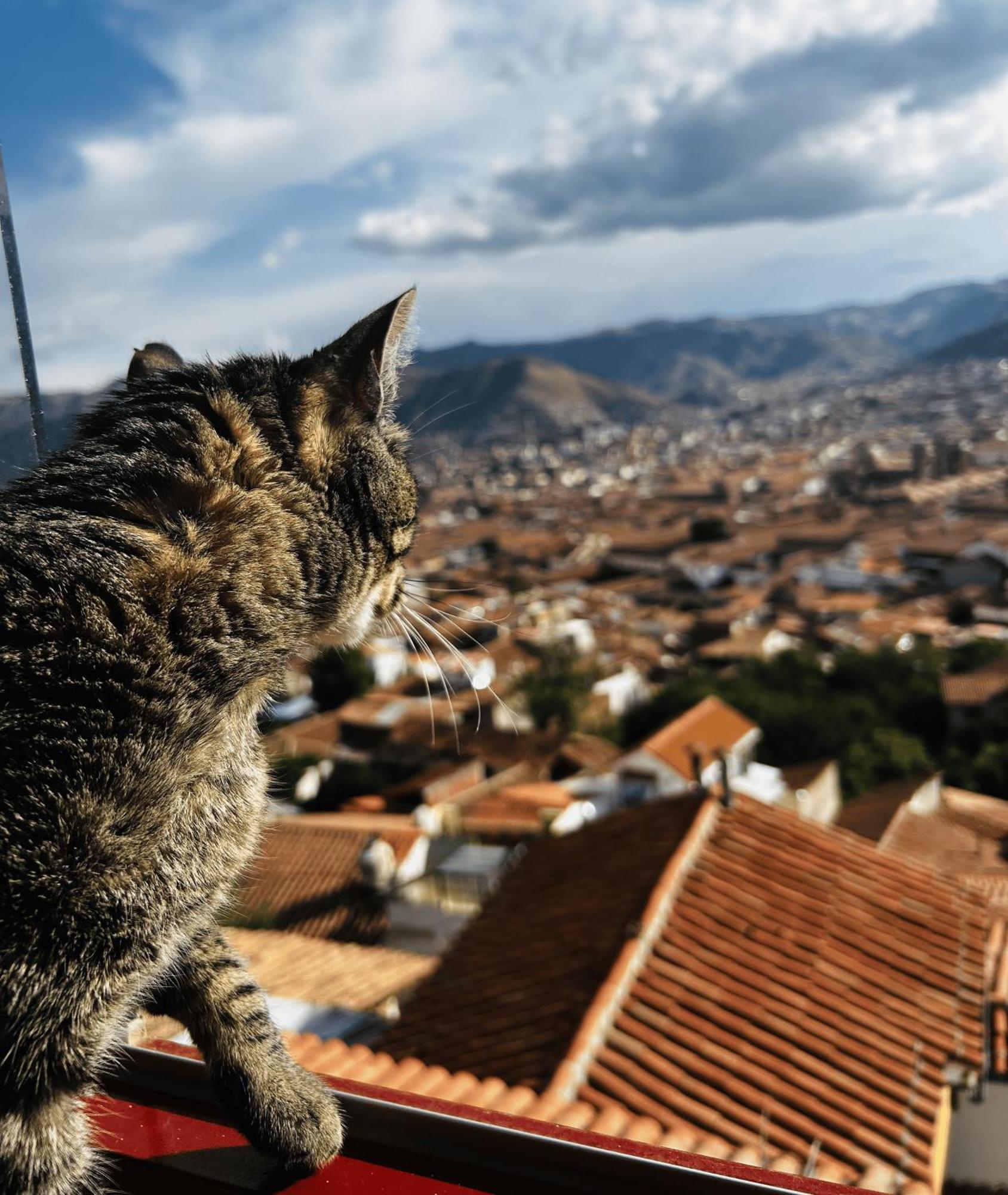 Summit Viewpoint House San Blas Cuzco Exterior foto